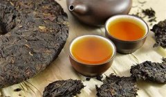 普洱茶的来源和产