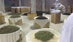 制茶时干燥的目的是什么，干燥温度应为多少？