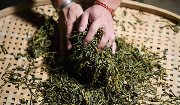 茶叶揉捻的目的是什么