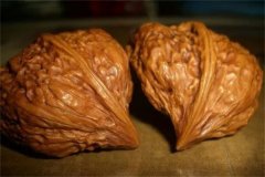如何辨别好品相的狮子头鹰嘴