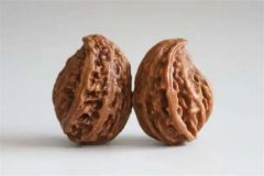 介绍几种常见的异形核桃