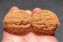 文玩核桃虎头品种简介