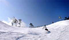 我国最大的滑雪旅游度假区在哪？