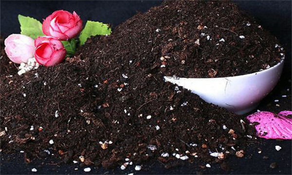 花卉栽培常用的肥料有哪些