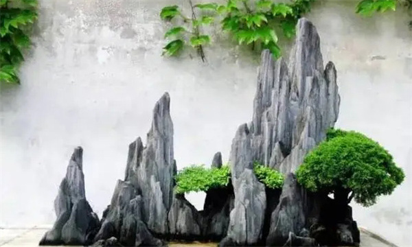 山水盆景中的植物与山石比例协调
